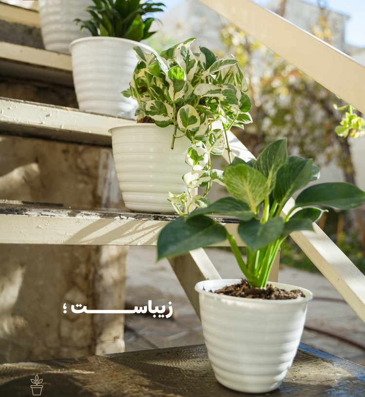 گلدان پلاستیکی قطر۲۱سانت ارتفاع۱۸سانت طرح موج سایزچهار۲۴عددی