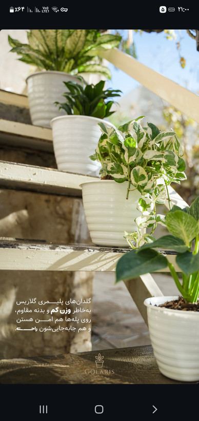 گلدان پلاستیکی قطر۱۸سانت ارتفاع۱۵سانت طرح موج سایزسه۲۴عددی